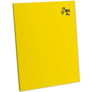 CUADERNO TRIPLE RENGLÓN DELUXE LORO A4 70 GR AMARILLO 80 HOJAS
